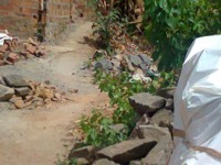 /album/galeria-de-fotos/foto0136-jpg/