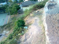 /album/galeria-de-fotos/foto0140-jpg/